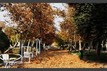 گذر پاییزی بوستان رازی 1
