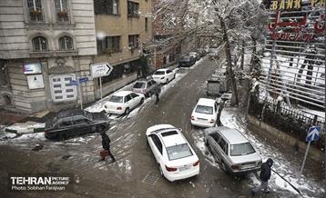 تردد در معابر شهری  11