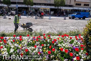 پروژه سنگ فرش میدان بهارستان  5