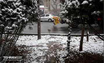 برف چهره تهران را سپیدپوش کرد 10