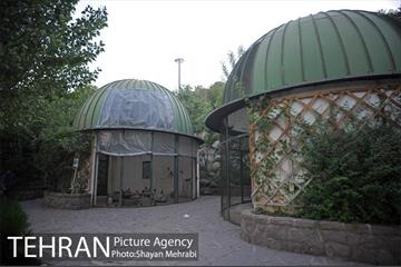 باغ پرندگان تهران 39