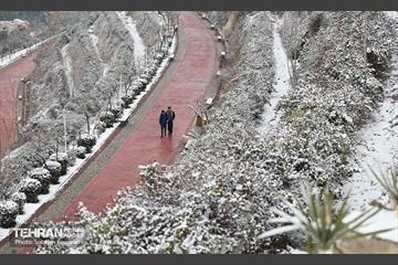 تهران برفی 5