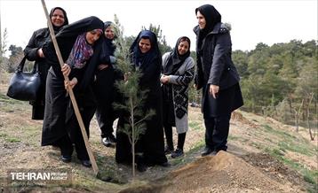 مادرانه‌ای برای شهر من 46