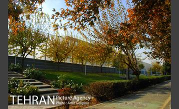 شهرک لاله 12