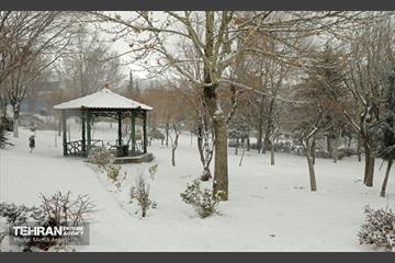 بارش برف زمستانی در منطقه ۲ 22