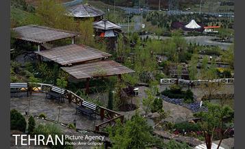 روز طبیعت در منطقه 22 21