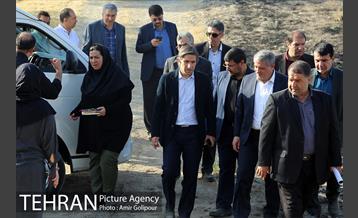 بازدید رئیس شورای شهر تهران از بوستان جنگلی چیتگر 16