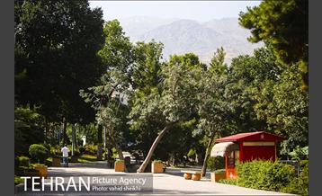 بوستان قیطریه 27