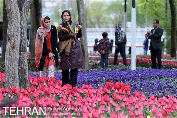 جشنواره لاله‌ها در بوستان زندگی محله هرندی 2