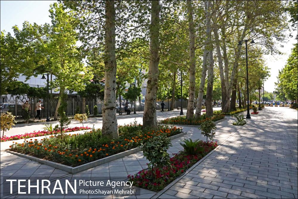 گذر پیاده راه استاد شهریار 5