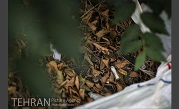 فیلتر سیگار زباله است 6