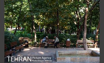 بوستان باغ ایرانی 9