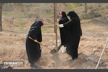 غرس ۲۷۸۲ نهال در سرخه‌حصار به یاد درگذشتگان جامعه پزشکی 6