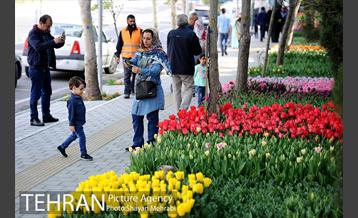 پیاده راه لاله مادران 24