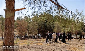 بازدید اصحاب رسانه از روند انجام عملیات احیای چیتگر 53