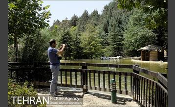 افتتاح اولین "باغچه خبر" در تهران 20