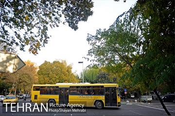 طبیعت پاییزی بلوار کشاورز 27