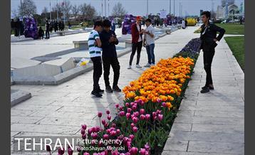 رویش گل های لاله در میدان آزادی 13