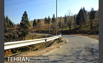 پارک جنگلی سرخه حصار 5