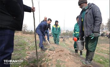 غرس 2000 نهال در بوستان جنگلی سرخه‌ حصار 9
