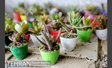 طرح گلماند در منطقه 18