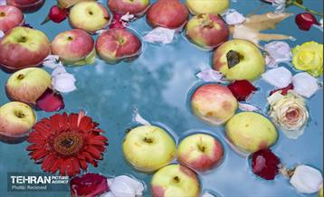 بازگشایی بنیاد فرهنگی امیرکبیر و موزه مرحوم دکتر حبیبی 23