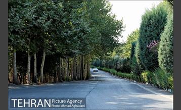 پارک جنگلی چیتگر 2