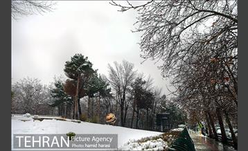 روز برفی بلوار کشاورز 1