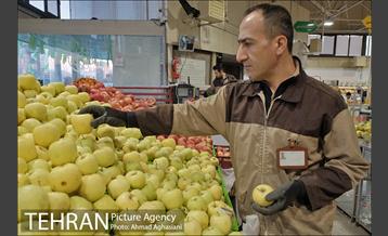میدان میوه وتره بار شهید غیبی شهرری 8