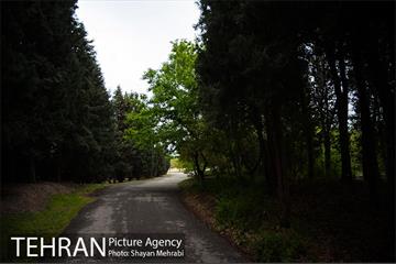 باغ گیاه‌شناسی ملی ایران 18