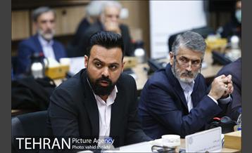 دومین جلسه اضطراری کارگروه فنی اجرایی مقابله با بیماری های واگیر دار 13