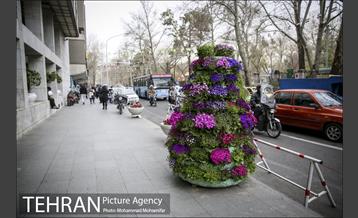 استقبال از بهار در خیابانهای تهران 1