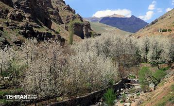 طبیعت بهاری روستای سنگان 4