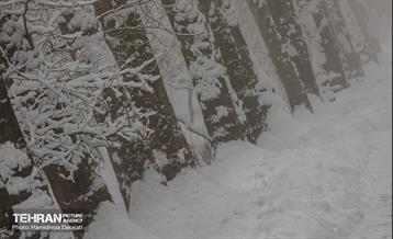 روایت مه‌و‌برف در بوستان سنگی تهران  9