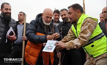 کاشت 2000 نهال مثمر در بوستان جنگلی چیتگر 27