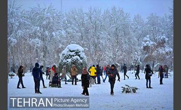 روز برفی در پارک لاله 6