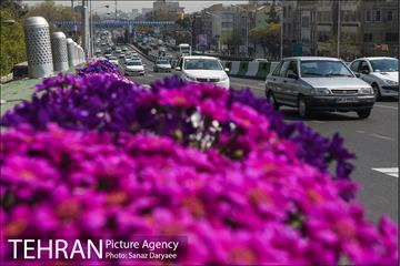 گل آرایی پل سیدخندان 26