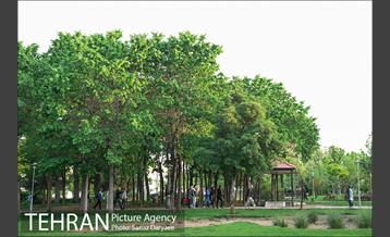 بوستان پلیس 3