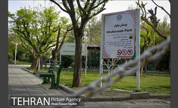 روز طبیعت در بوستان هاى منطقه ٥