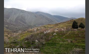 وردیج ، دنیایی از زیبایی 5