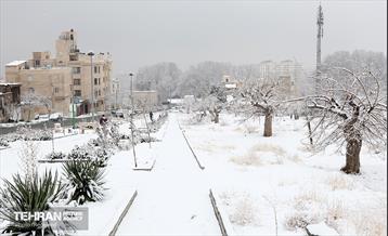 روز برفی در منطقه 5 16