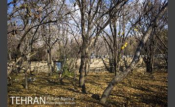 کوچه باغ های محله کن 9