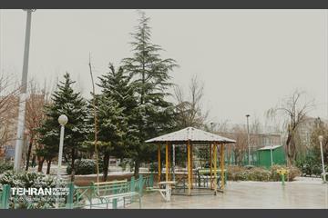 روز برفی در منطقه 8 13