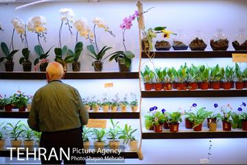 هشتمین نمایشگاه گل و گیاه تهران 10