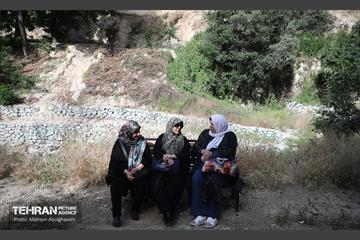 همایش پیاده روی خانوادگی در رود دره فرحزاد 52