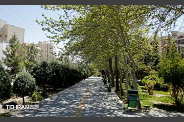 روز طبیعت در منطقه ۵ 40