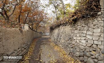 طبیعت پاییزی کوچه باغ‌های محله کن 9