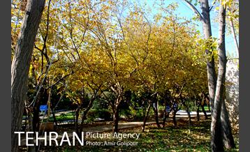 شهرک صدرا 40