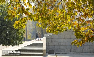 سمفونی رنگ های پاییزی - کاخ سعدآباد 12