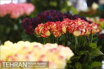 افتتاح هفدهمین نمایشگاه بین المللی گل و گیاه تهران  36